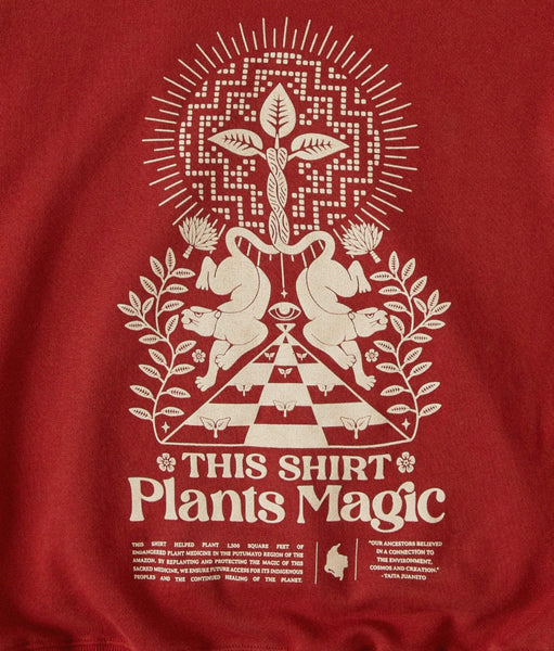 Magic Fund Hoodie | Red
