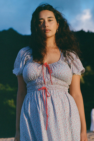 The Brynne Dress Petites | Wild Berries