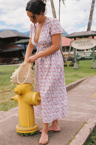 The Dawn Dress Petites | Cherry Jubilee