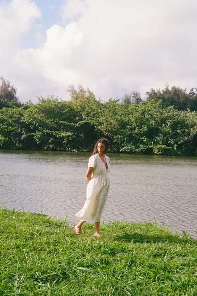 The Dawn Dress Petites | Rose Trellis