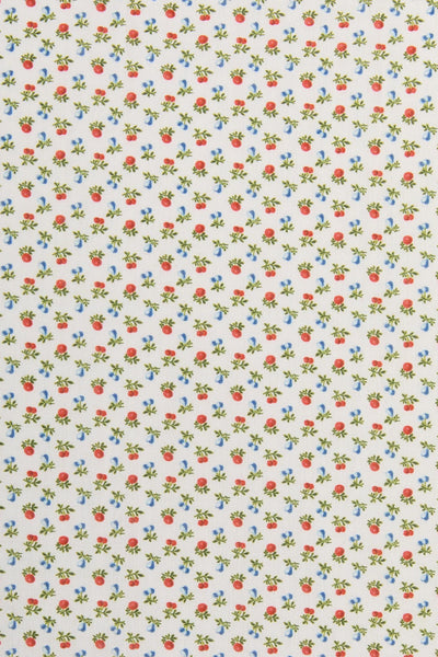 The Cristobal Boxers | Summer Orchard